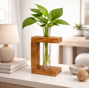 ZS Collection Wooden Test Tube Planter 13Lx 9Wx 5.5H Cm | Glass Test Tube with Wooden Holder | Hydroponic Test Tube Vase | Decorative Glass Planter with Wooden Stand for Living Room & Home Decor