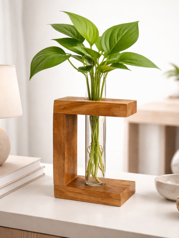 ZS Collection Wooden Test Tube Planter 13Lx 9Wx 5.5H Cm | Glass Test Tube with Wooden Holder | Hydroponic Test Tube Vase | Decorative Glass Planter with Wooden Stand for Living Room & Home Decor
