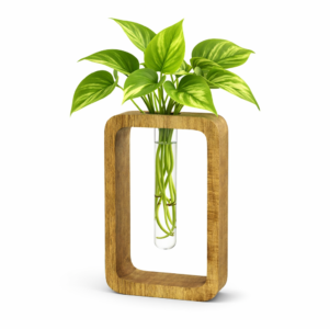 ZS Collection Wooden Test Tube Planter 20Lx 13Wx 4H Cm | Glass Test Tube with Wooden Holder | Hydroponic Test Tube Vase | Decorative Glass Planter with Wooden Stand for Living Room & Home Decor