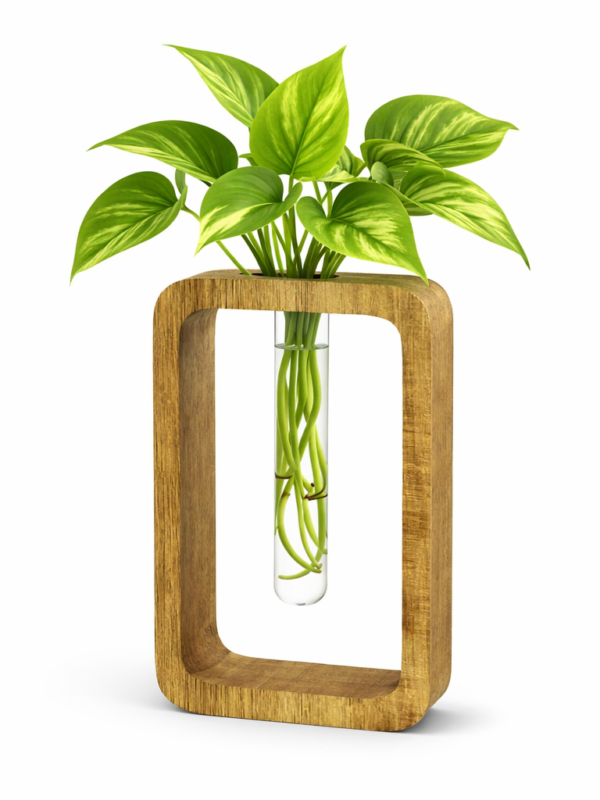 ZS Collection Wooden Test Tube Planter 20Lx 13Wx 4H Cm | Glass Test Tube with Wooden Holder | Hydroponic Test Tube Vase | Decorative Glass Planter with Wooden Stand for Living Room & Home Decor