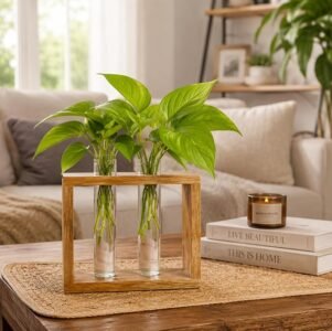 ZS Collection Wooden Test Tube Planter | Glass Test Tube with Wooden Holder | Hydroponic Test Tube Vase | Decorative Glass Planter with Wooden Stand for Living Room & Home Decor (2 Tube Rectangle)