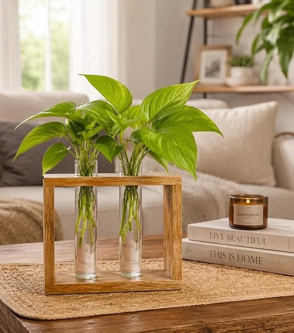 ZS Collection Wooden Test Tube Planter | Glass Test Tube with Wooden Holder | Hydroponic Test Tube Vase | Decorative Glass Planter with Wooden Stand for Living Room & Home Decor (2 Tube Rectangle)